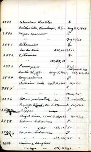 file details