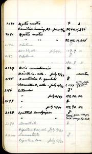 file details