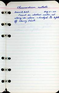 file details