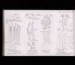 file details