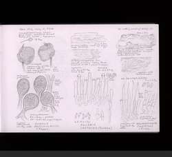 file details