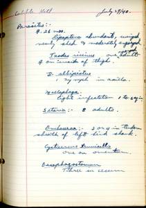 file details