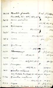 file details