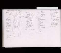file details