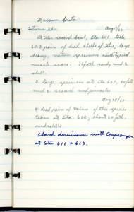 file details