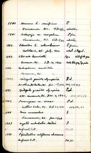 file details