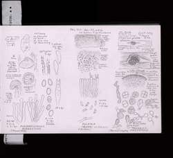 file details