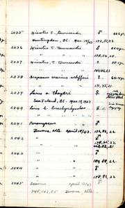 file details
