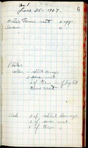 file details