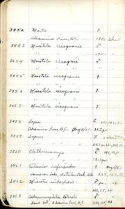 file details