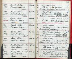 file details