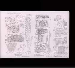 file details
