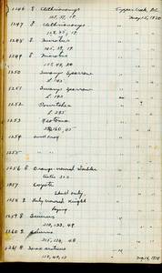 file details