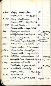 file details