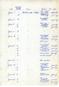 file details