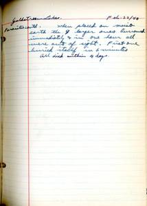 file details