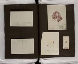 file details