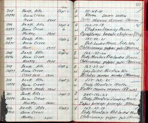 file details
