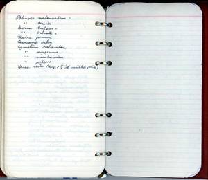 file details