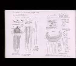 file details