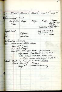 file details