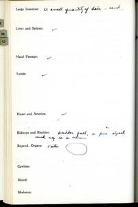 file details