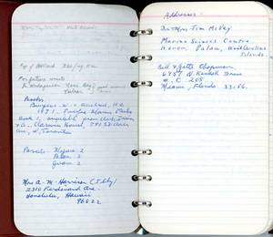 file details