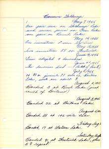 file details