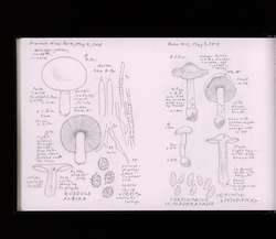 file details