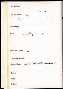 file details