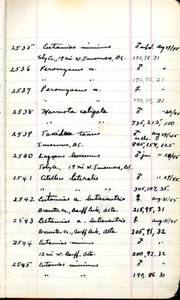 file details