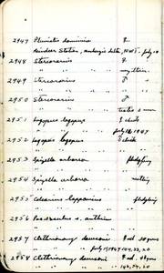 file details