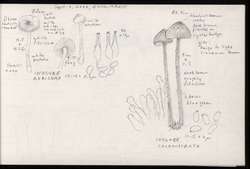 file details