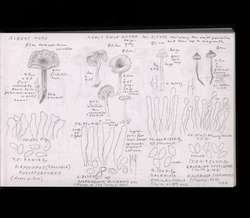 file details