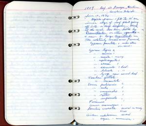file details
