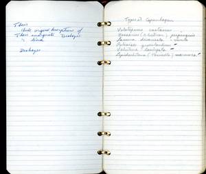 file details