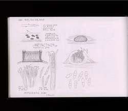 file details