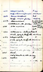 file details
