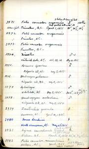 file details