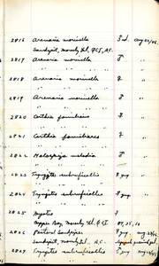 file details