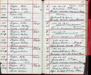 file details