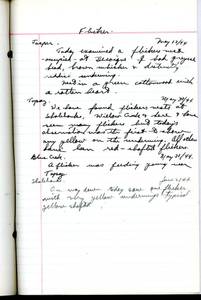 file details