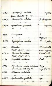 file details