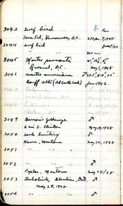 file details