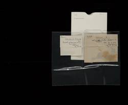 file details