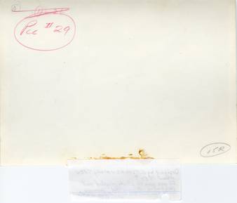 file details
