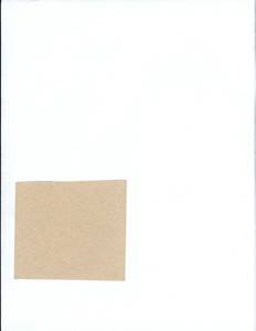 file details