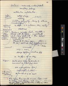 file details