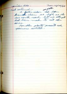file details