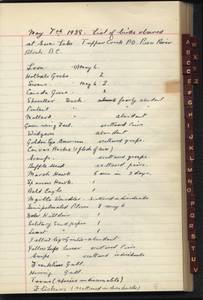file details